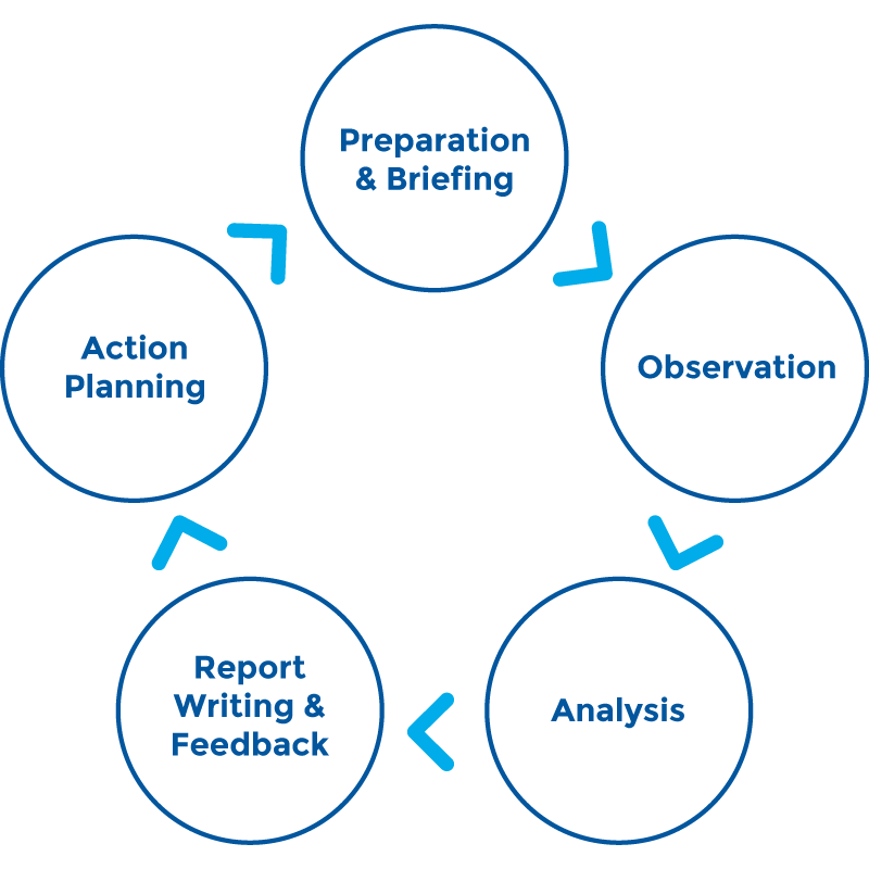 Dementia-Care-Mapping-Diagram